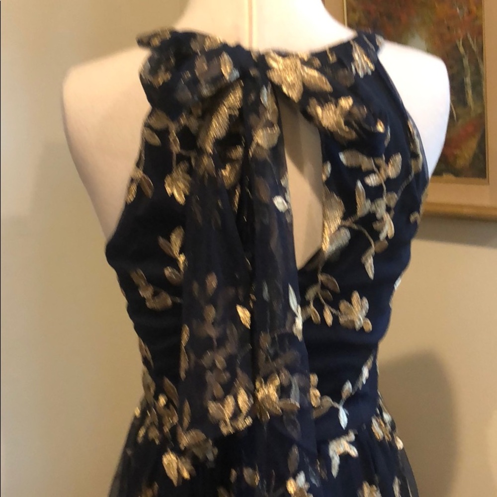 BHLDN tulle embroidered Antonia Dress navy blue - Picture 7 of 8